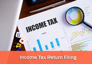 Income Tax Return Filing