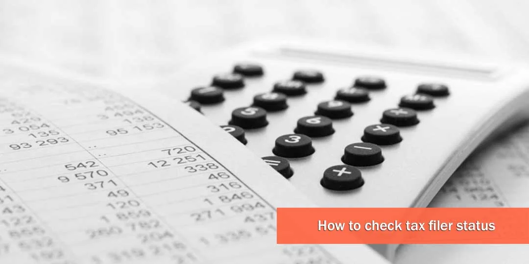 How To Check Tax Filer Status