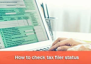 How To Check Tax Filer Status